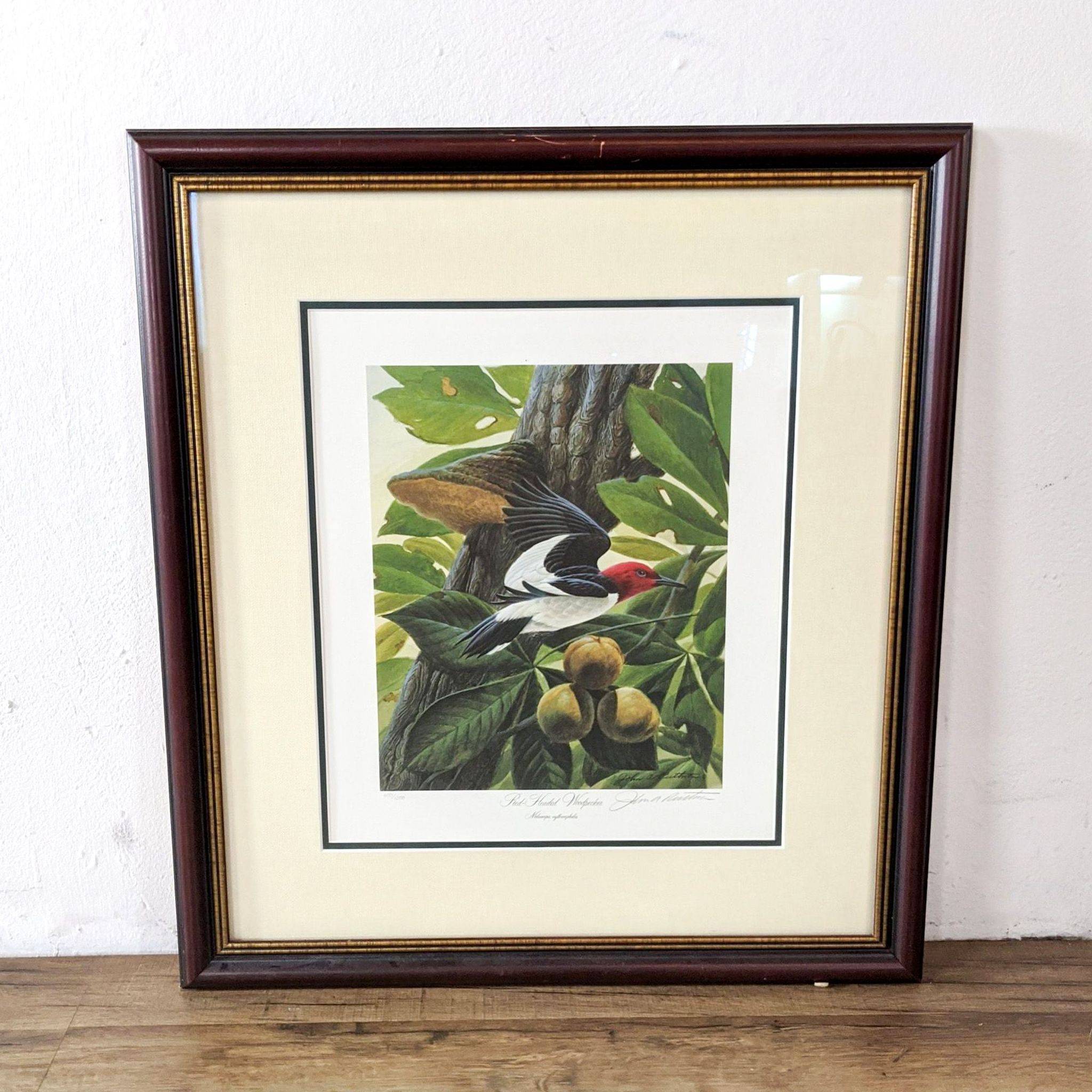 Framed Litho of "Red-Headed Woodpecker" by John A. Ruthven - image 0